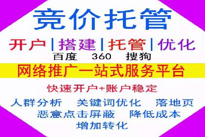 SEO与SEM融合策略：成功案例解析